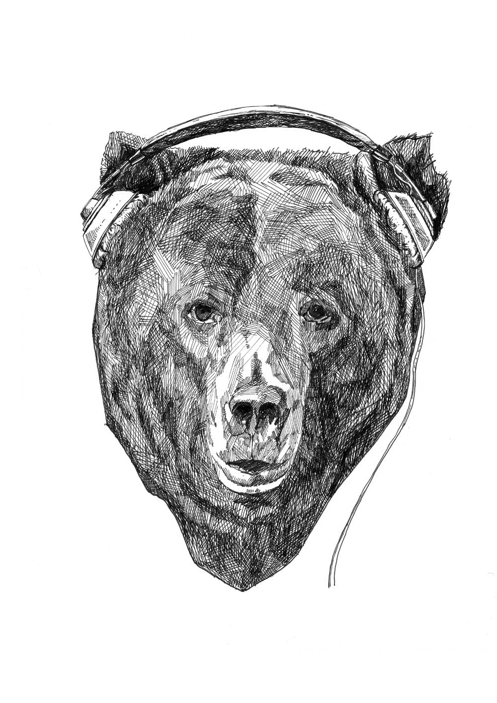 Bear Beats